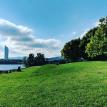 Grüne Wiesen #Wien #Donau